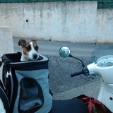 Moi et le Scooter c'est pour la vie !!!