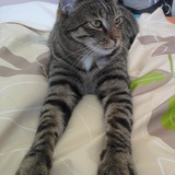 Relax !