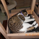 une bonne sieste! :)