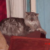 je me repose