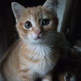 Louna 