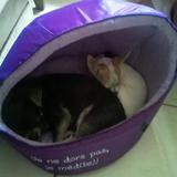 Microbe et Loca :-)