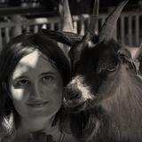 Animals Pictures 