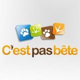C'est Pas Bête