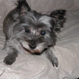roxane