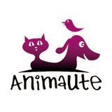 Animaute