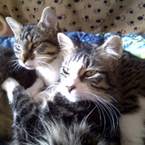 Penny et Tootsie