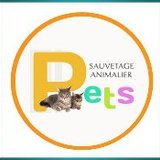 Pets UA