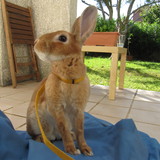 Kimie