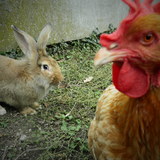 Coucou ma copine ! Comment tu vas ?