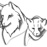 Terre Animale