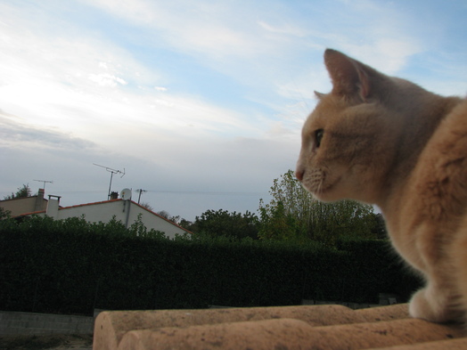 Au coucher du Soleil