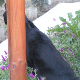 Oups je suis dans les fleurs !