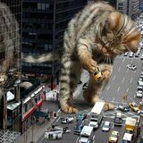 La team des chats qui dominent et domineront le monde!