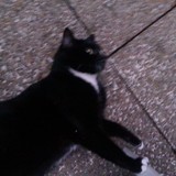 Kiki