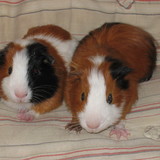Raoul et Gaston.