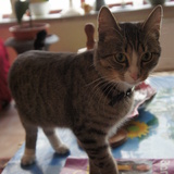 Beau gosse !