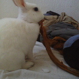 Miam le doudou de maman