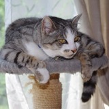 Salem 