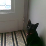 lola