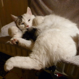 Relax, vous avez dit relax?