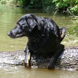 La team des Beaucerons