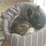 Tu aimes ton animal ? Rejoins la TEAM 