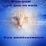 Montage offert par mon nouveau p'tit pote : Louka ! ♥ ♥ ♥