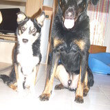 Bandit &' Charly