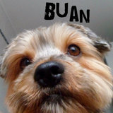 Buanღ 