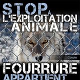 contre la fourrure!!