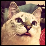 Pixel