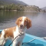 lola