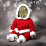 noel 2012 des YUMMYPOTES 