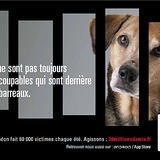30 millions d'amis 