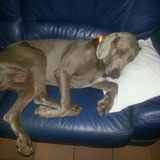 Mon canapé &hearts;