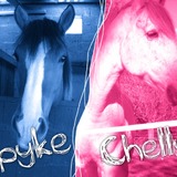 Spyke et Chelly