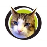 Les RDV Animaliers
