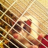Nell ❤