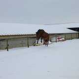 Yahouu! Qu'est ce qu'on s'éclate dans la neige !!
