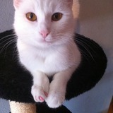 Lily 