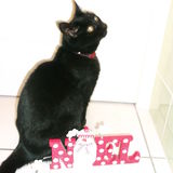 ♥ Charlotte ♥