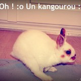 Filou