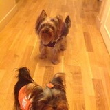 esteban&dora