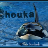Shouka