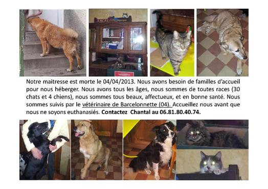 Les animaux d'Anne Marie's profile (Others - Other) on Yummypets - Social network for pets