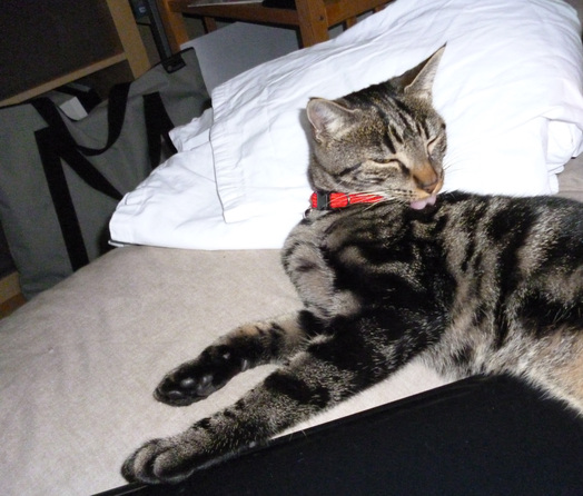 Au coucher du Soleil