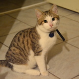 yuki