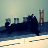 Patoune :)