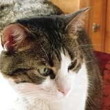 SOCRATE